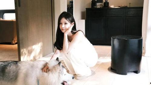 初代网红雪梨被曝大瓜 明星黑料网站视频